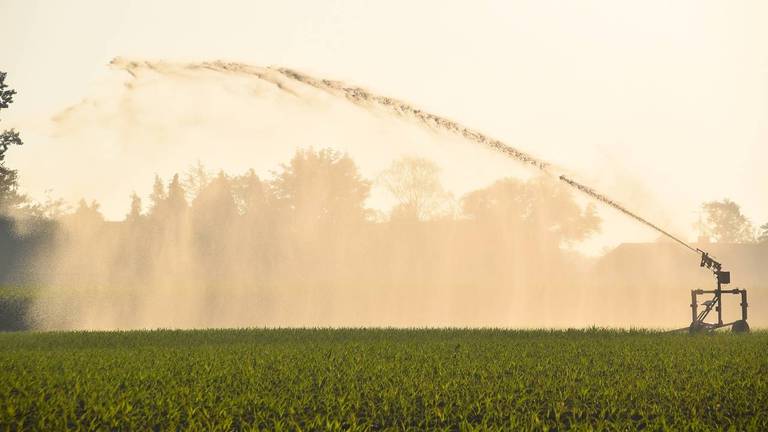 Droogte in Brabant