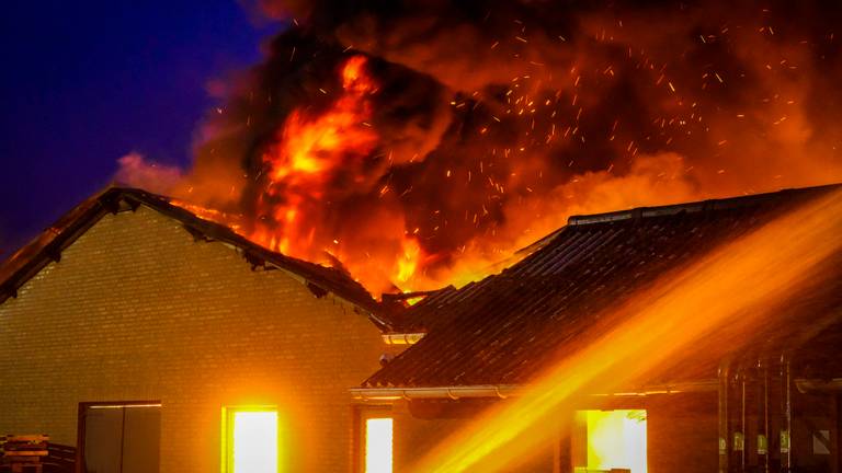 Duizenden kippen overleden bij brand in Vessem