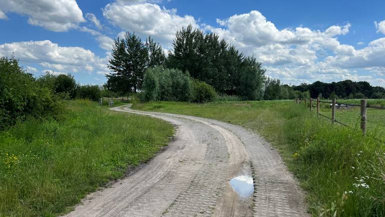 Het pad richting de molen dat alleen door wandelaars en fietsers gebruikt mag worden (foto: Megan Hanegraaf),