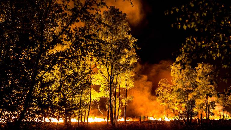 De brandende Peel in 2020 (foto: Rob Engelaar).