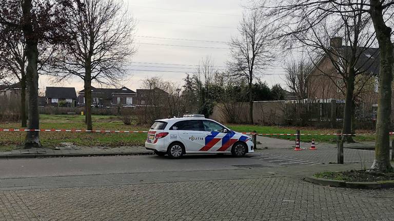 Vigo werd op nieuwjaarsdag bewusteloos gevonden in het parkje (foto: Ferenc Triki)