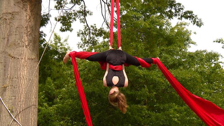 Anne traint aerial silk in een boom vlakbij huis.  