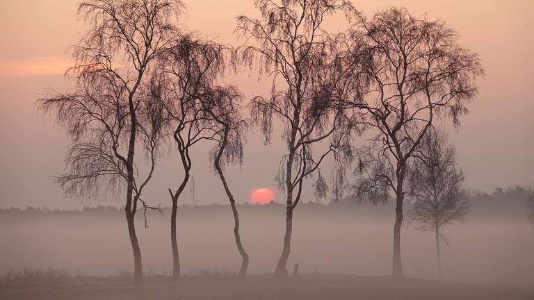 Omroep Brabant