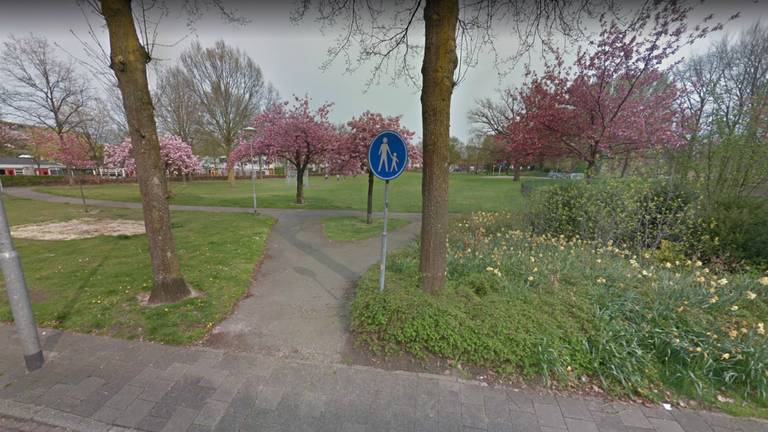 Het Brabantpark in Breda (foto: Google Maps).