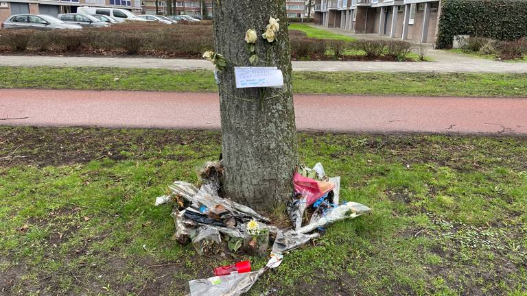 Vlakbij de plek waar de botsing gebeurde, lagen lang bloemen (foto: Hans Janssen).