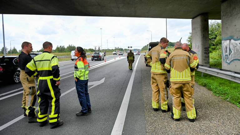 Paard overleden nadat het op de snelweg door trailer zakte