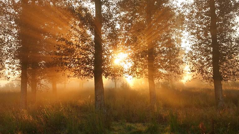 Zon in september (foto: Ben Saanen).