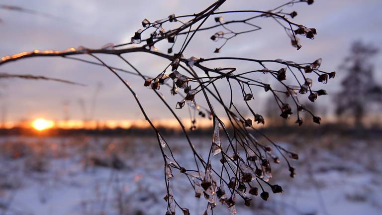 Zonsopkomst in het zuidoosten van Brabant (Foto: Ben Saanen).