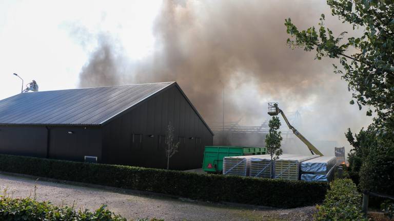 Omroep Brabant
