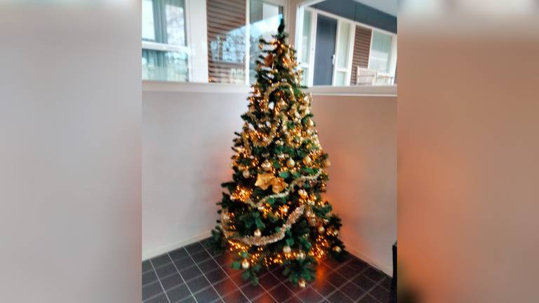 De gestolen kerstboom