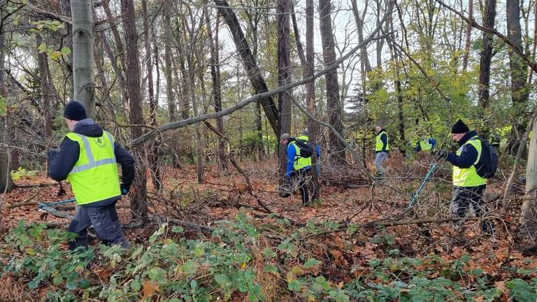 Maandag werden grote stukken bos al uitgekamd (foto: Collin Beijk).