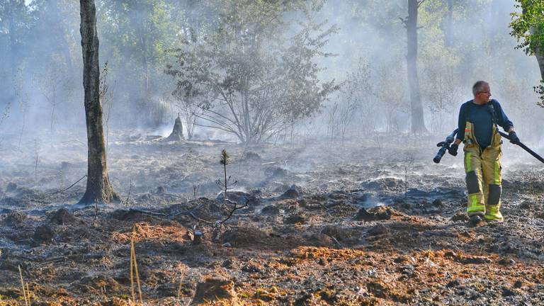 Een rokend deel van de Cartierheide (foto: Rico Vogels/SQ Vision Mediaprodukties).