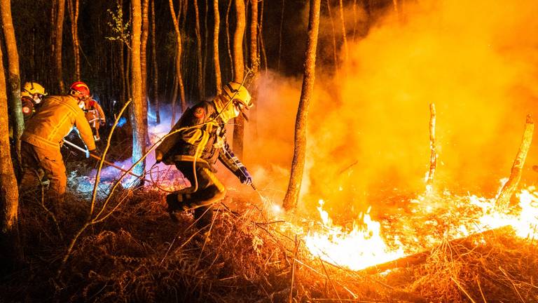 Foto: SQ Vision/Sem van Rijssel.