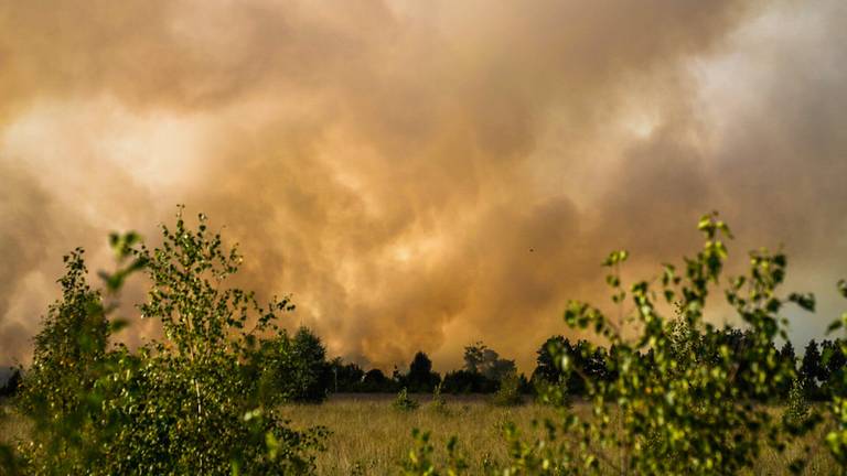 Natuurbranden zoals in De Peel zijn lastig te bestrijden: dit is waarom