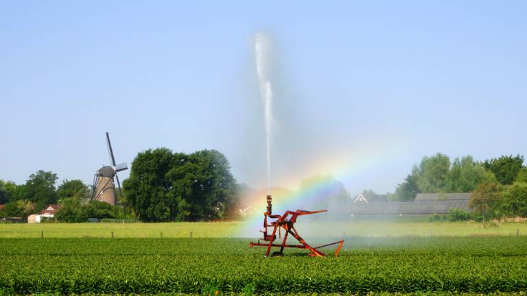 Het beregenen van gewassen in Brabant. (foto: Ben Saanen)