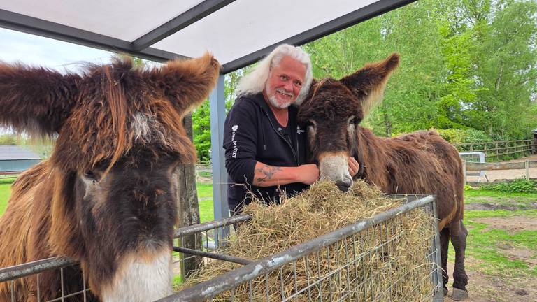 Ezels stelen de show in ‘soap’ over opvang, fans rijden uren om te kijken