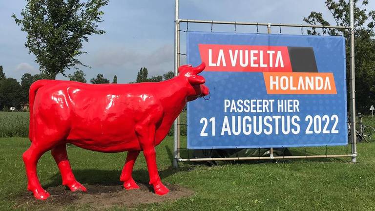 De rode stier in Dinteloord hoort bij de Vuelta