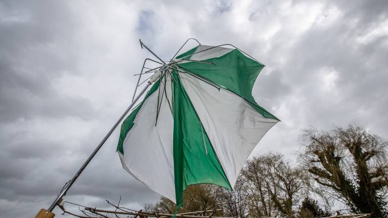 Hou je hoedje maar vast, het wordt een onstuimige carnaval 