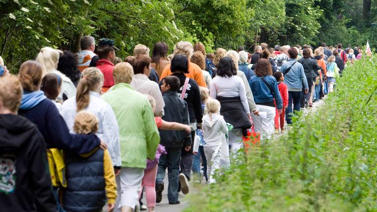 Achter elkaar in de avondvierdaagse. (archieffoto: ANP).