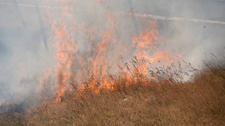 Het vuur verspreidde zich door de droogte en de wind razendsnel (foto: Gabor Heeres/SQ Vision)