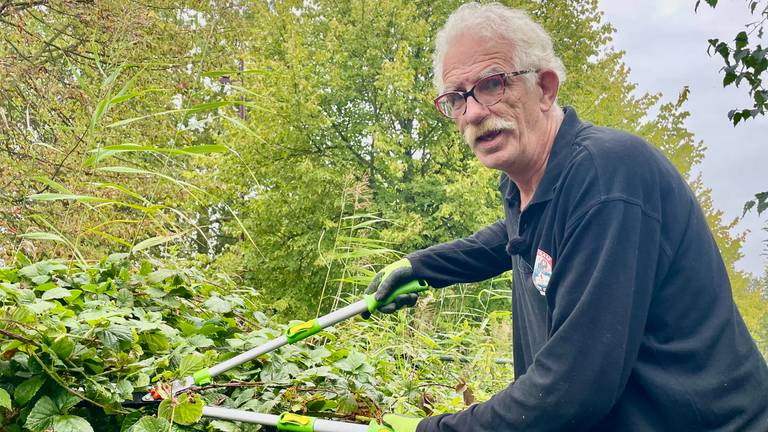 Sjef van Ostaden is alvast begonnen met snoeien (foto: Erik Peeters)