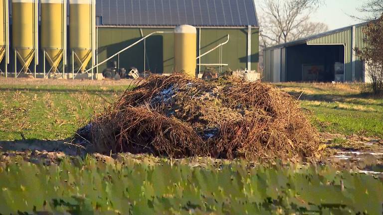 De composthoop die een Polenhotel dwarsboomt