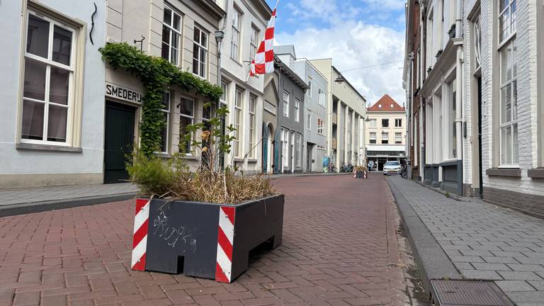 Plantenbakken in de binnenstad van Den Bosch zouden automobilisten moeten dwingen om hun snelheid te minderen (foto: Omroep Brabant).