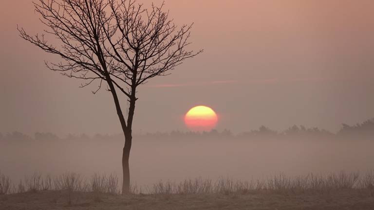 Omroep Brabant