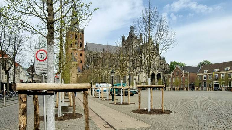 boompjes aan de Parade in 's-Hertogenbosch (foto: gemeente 's-Hertogenbosch) 