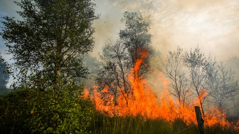 Sein brand meester gegeven bij grote Peelbrand