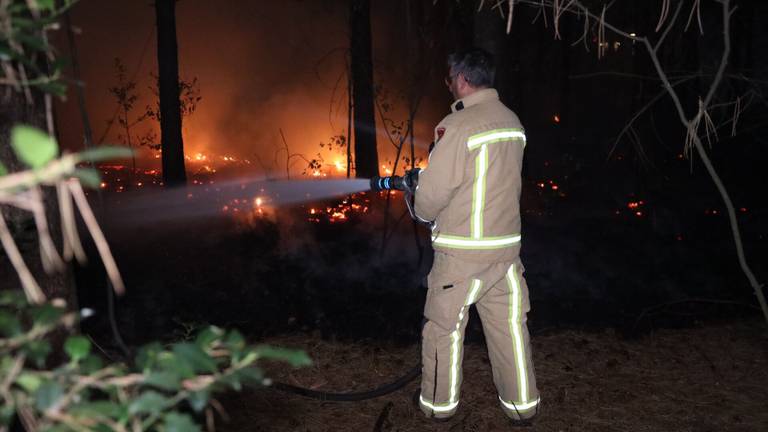 De brandweer bestreed het vuur in het natuurgebied bij Son (foto: Sander van Gils/SQ Vision).