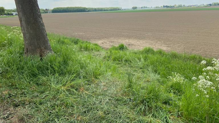 Jongen (17) overleden bij auto-ongeluk in Oud Gastel, drie anderen gewond