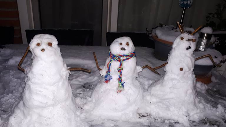 In januari viel er ook al wat sneeuw (foto: Wendy Meisner).