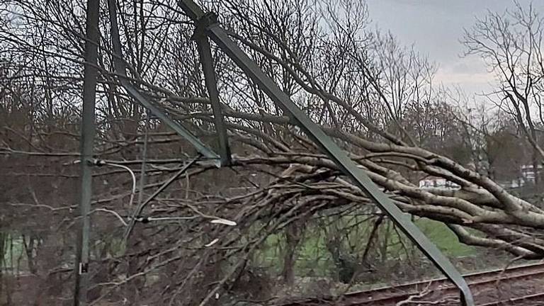 Stormschade op het spoor (foto: Twitter ProRail).