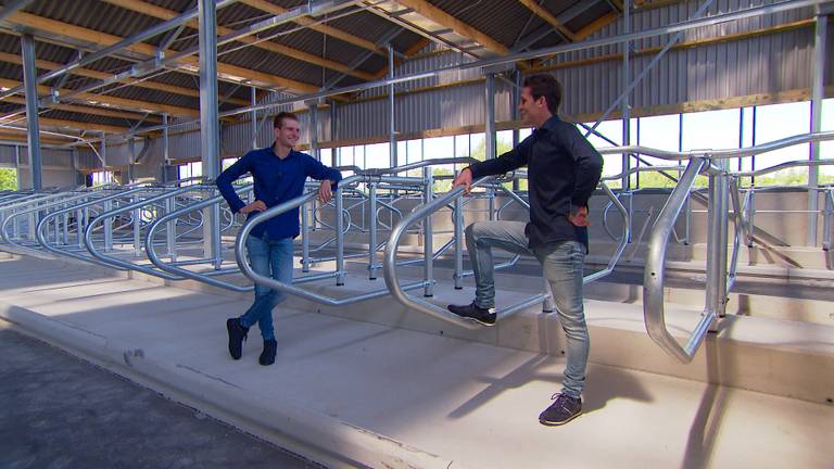 Bas (26) en Luuk(28) hopen dat ze in de Peel kunnen blijven boeren.