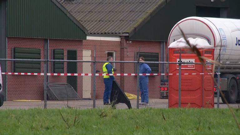 Vogelgriep op kalkoenhouderij in Moergestel