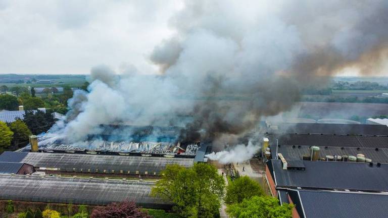 Bij de brand in Asten-Heusden kwamen 43.000 kippen om (archieffoto: SQ Vision).