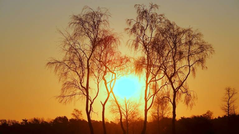 De dag begon met een prachtige zonsopkomst (foto: Martha Kivits).