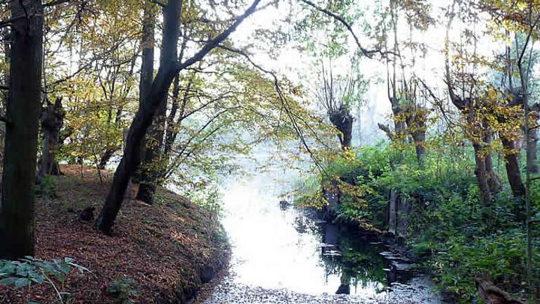 Omroep Brabant