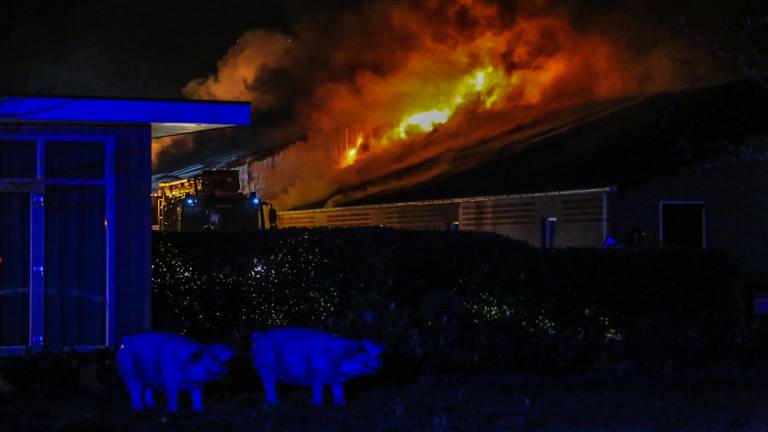 De vlammen grijpen om zich heen bij de stalbrand (foto: Harrie Grijseels/SQ Vision).