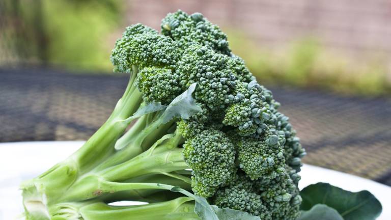 'Brocco mi, brocco you' (archieffoto: Liz West/Flickr)