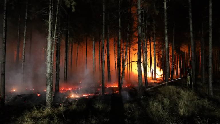 Bosbrand Best waarschijnlijk veroorzaakt door speurtocht met theelichtjes