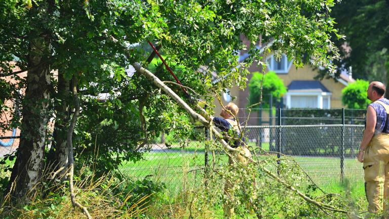 De afgebroken tak hing in een onoverzichtelijke bocht over de weg (foto: Johan Bloemers/SQ Vision).