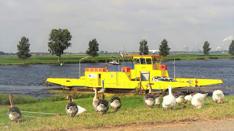 Foto: Joop van der Kaa.