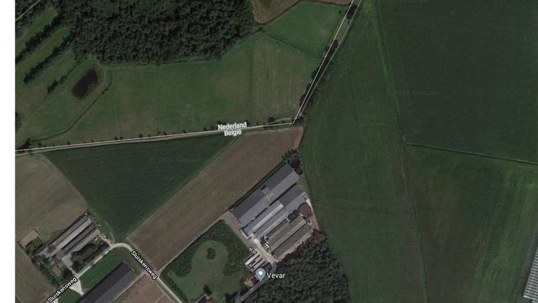 Het bedrijf Meermar, net over de grens in Hoogstraten (Foto: Google).