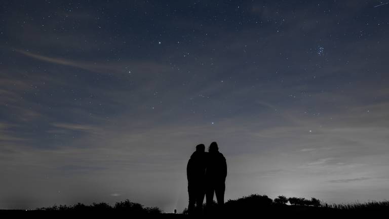 Ricardo Wabel ha notato le stelle nel Merlot (Foto: Ricardo Paz Belvis).