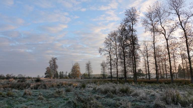 Op sommige plaatsen in het zuidoosten van Brabant leek het zaterdagochtend vroeg net winter (foto: Ben Saanen).