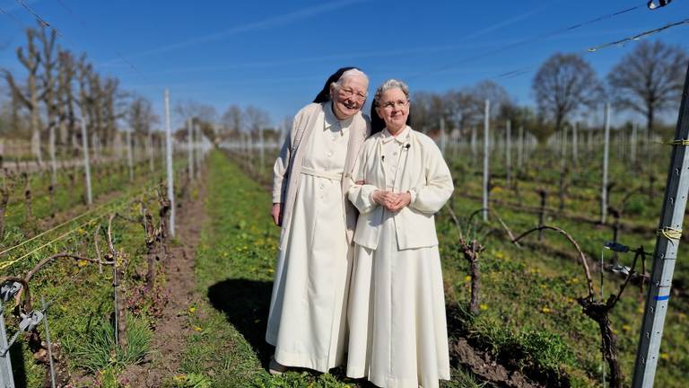  Zuster Maria Magdalena (rechts) op de wijngaard (foto: Noël van Hooft)