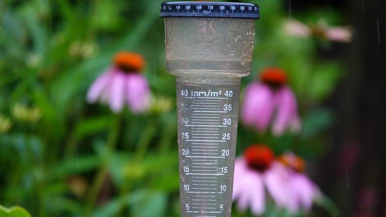 Op sommige plekken valt meer regen dan normaal in een hele julimaand (foto: Ben Saanen).