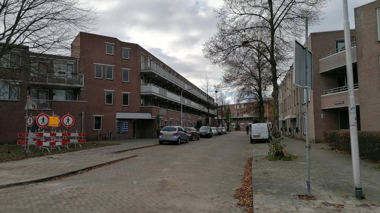 De Rentmeesterlaan in Tilburg (foto: Ista van Galen).